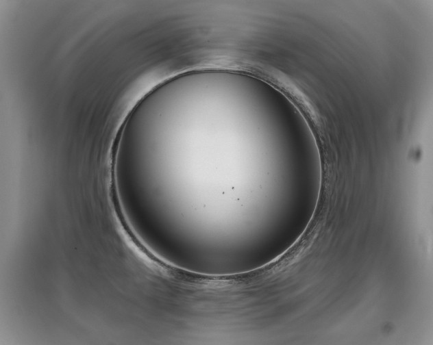 X0000097871479200803141247