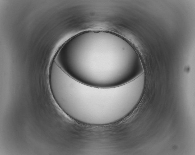 X0000097871480200803141247