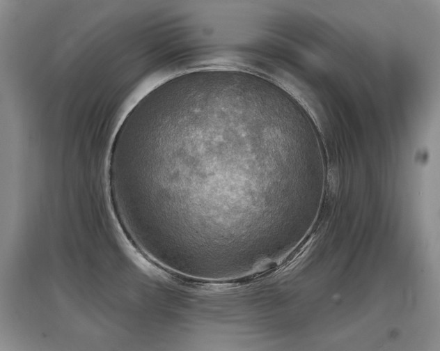 X0000097871482200803141247