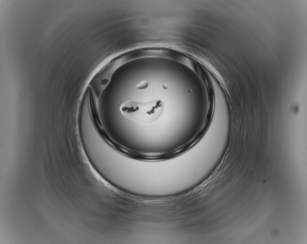 X0000097871484200803141247