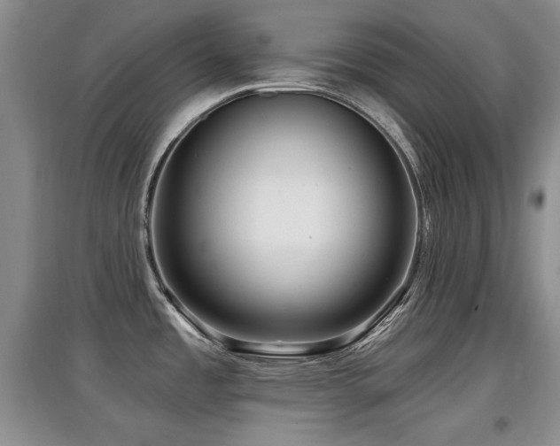 X0000097871485200803141247