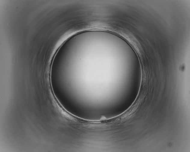 X0000097871486200803141247
