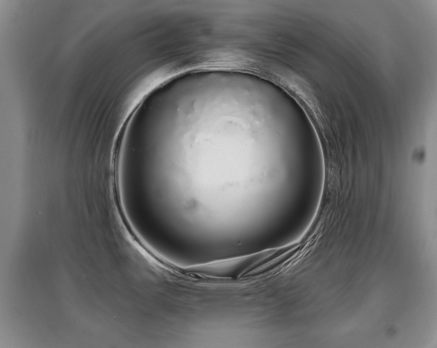 X0000097871487200803141247
