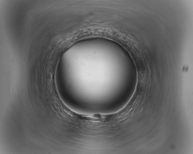 X0000097871489200803141246