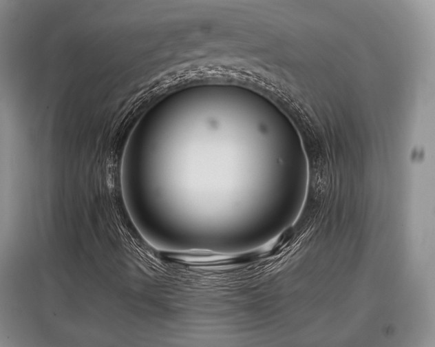 X0000097871490200803141246