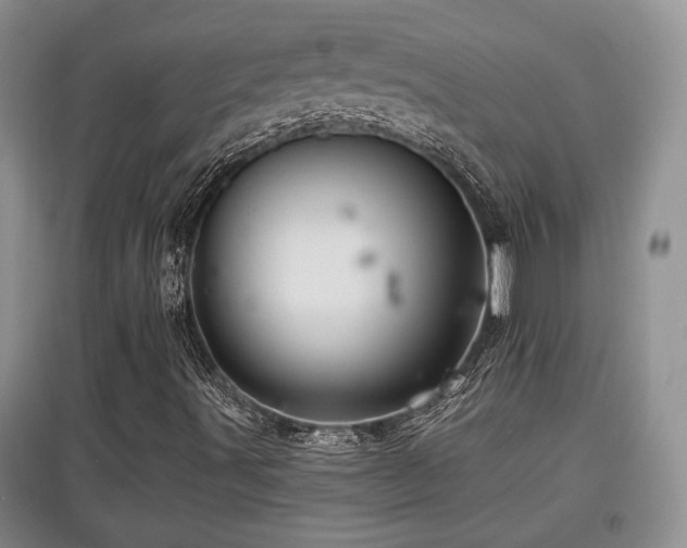 X0000097871491200803141246
