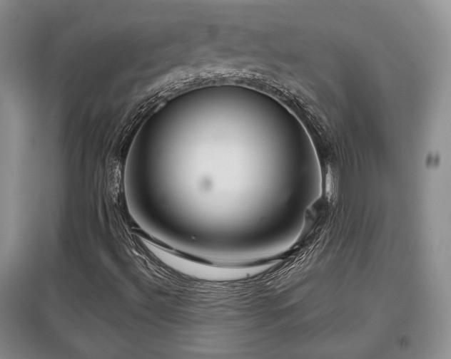 X0000097871492200803141246