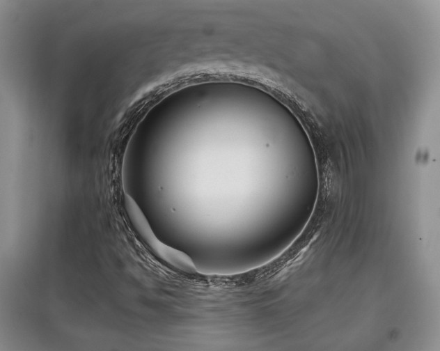 X0000097871494200803141246