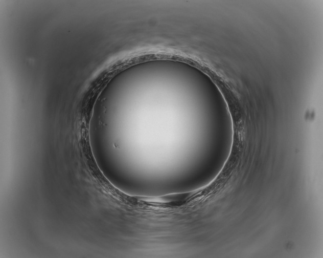 X0000097871495200803141246