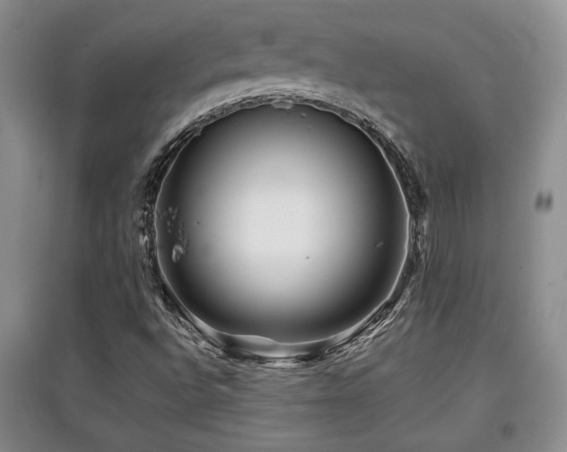 X0000097871496200803141246