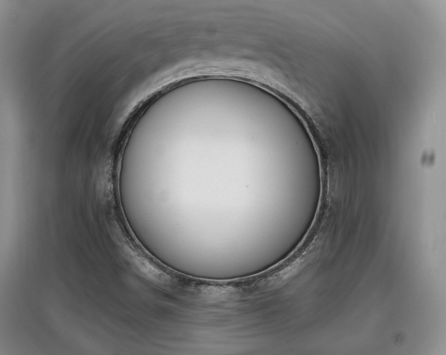 X0000097871498200803141246