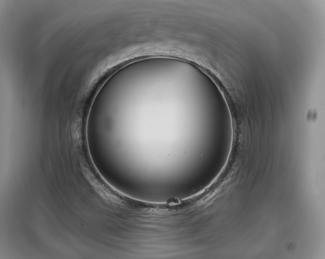 X0000097871499200803141246