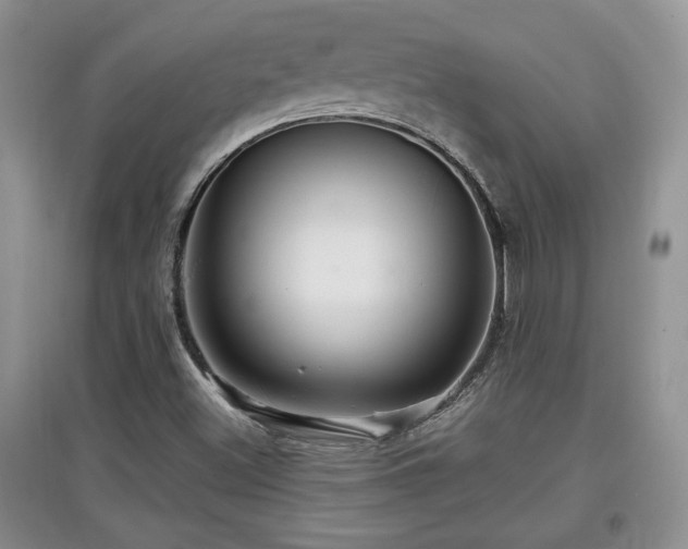 X0000097871500200803141246