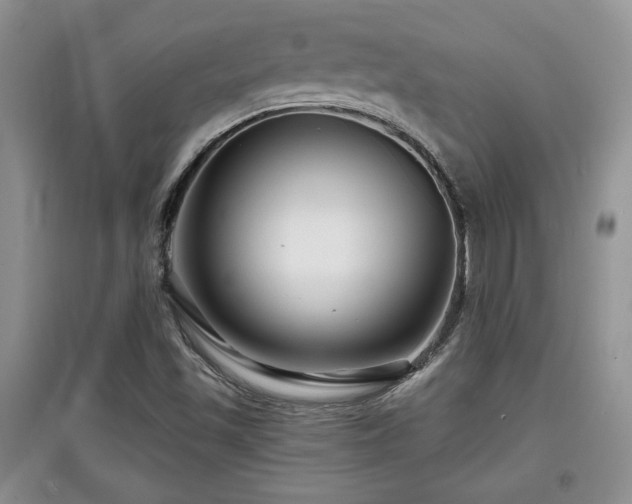 X0000097871501200803141246