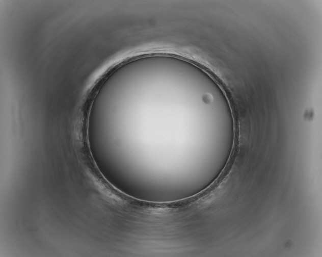 X0000097871502200803141246
