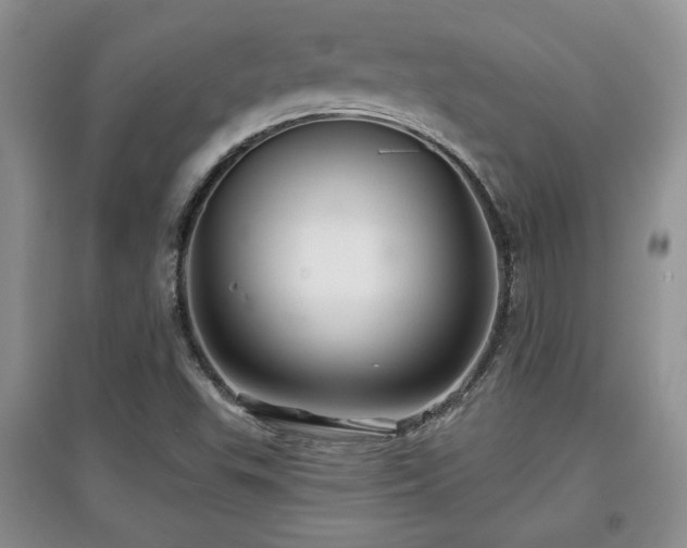 X0000097871503200803141246