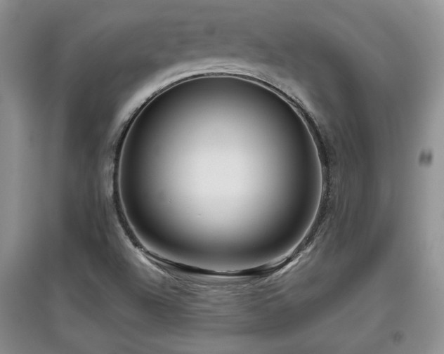 X0000097871504200803141246