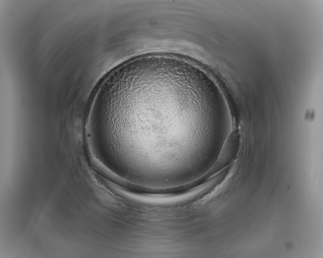 X0000097871505200803141246