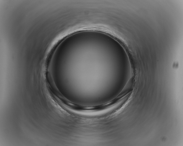 X0000097871506200803141246