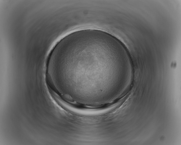 X0000097871508200803141246