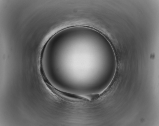 X0000097871512200803141247