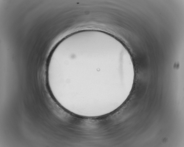 X0000097871514200803141247