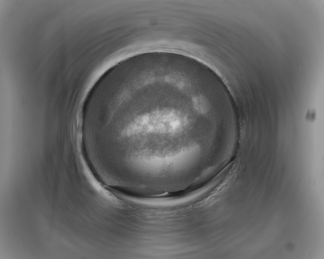 X0000097871515200803141247