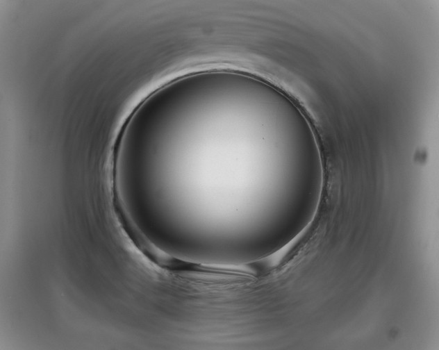 X0000097871516200803141247