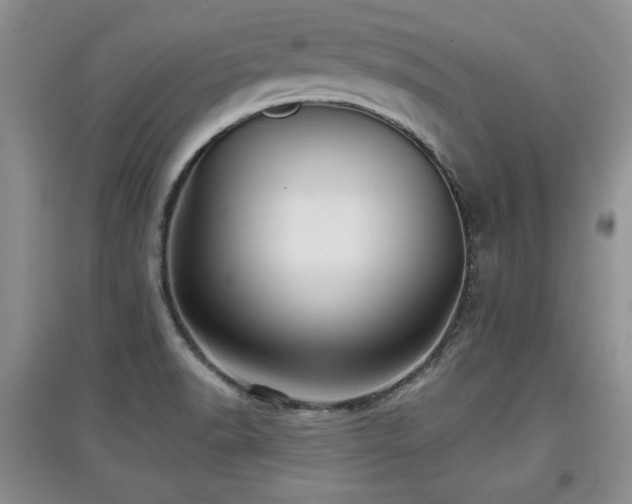 X0000097871518200803141247