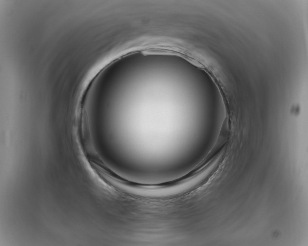 X0000097871520200803141247