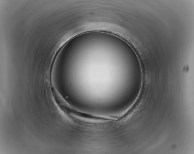 X0000097871521200803141247