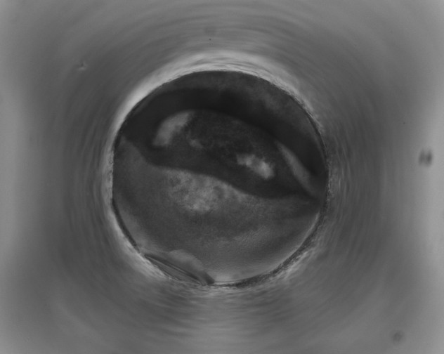 X0000097871522200803141247