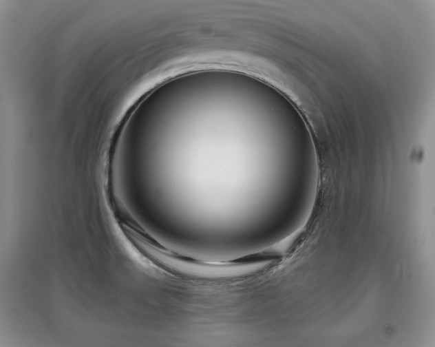 X0000097871523200803141247