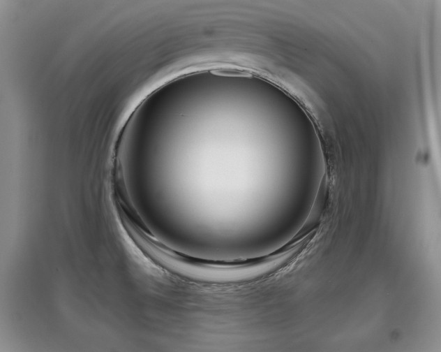 X0000097871524200803141247