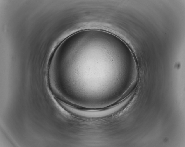 X0000097871525200803141247