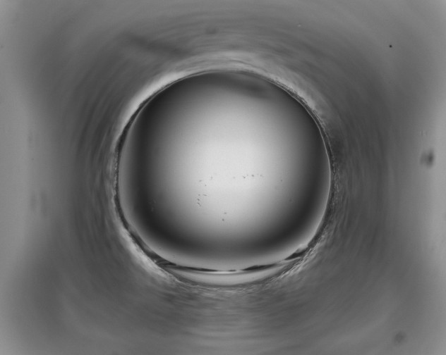 X0000097871526200803141247