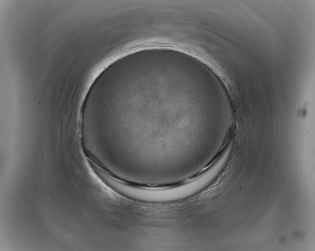 X0000097871527200803141247