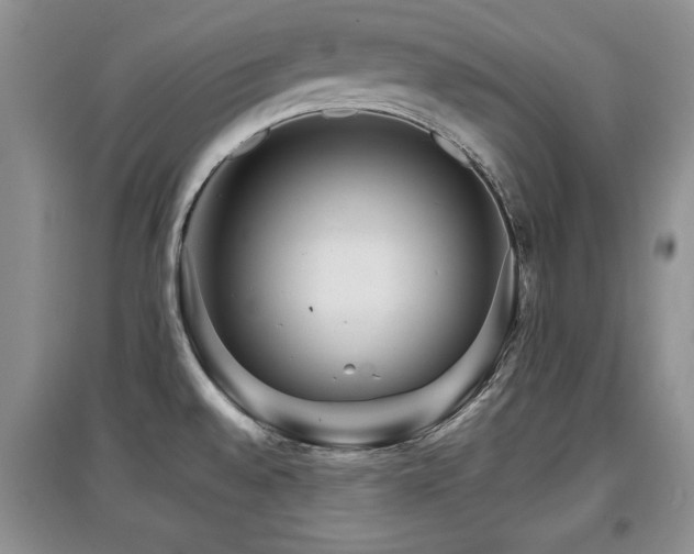 X0000097871528200803141247