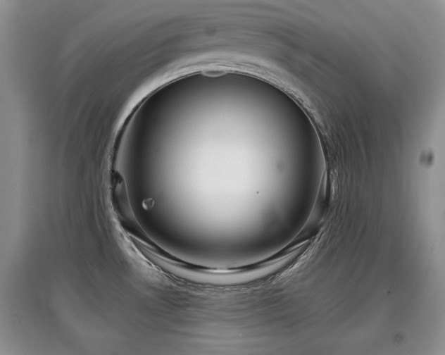 X0000097871530200803141247