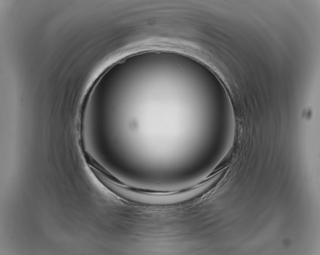 X0000097871531200803141247