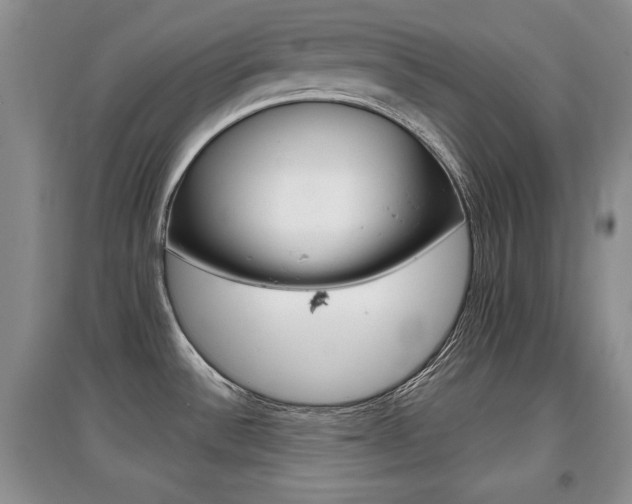 X0000097871532200803141247