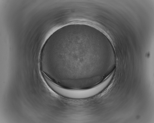 X0000097871533200803141247