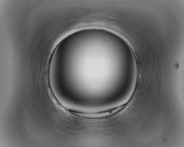 X0000097871534200803141247