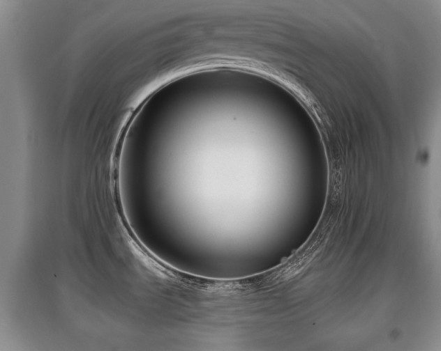 X0000097871535200803141247