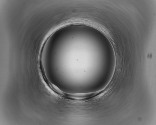 X0000097871536200803141247