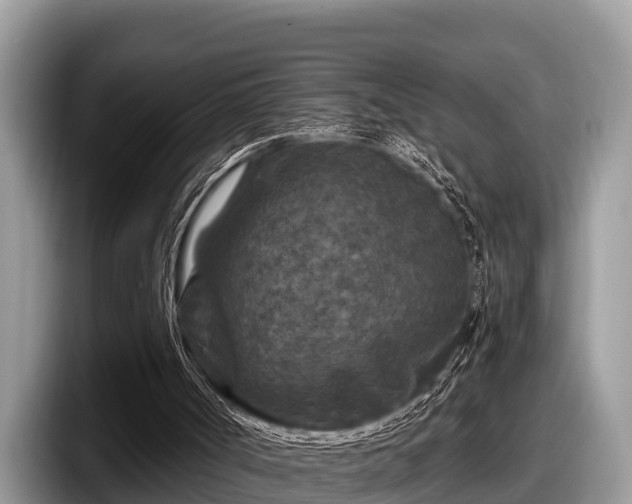 X0000097870002200803211323