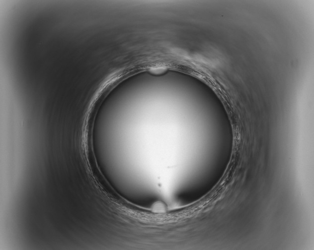X0000097870006200803211323