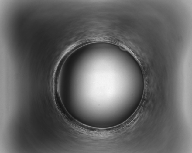 X0000097870008200803211323