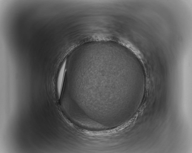 X0000097870009200803211323
