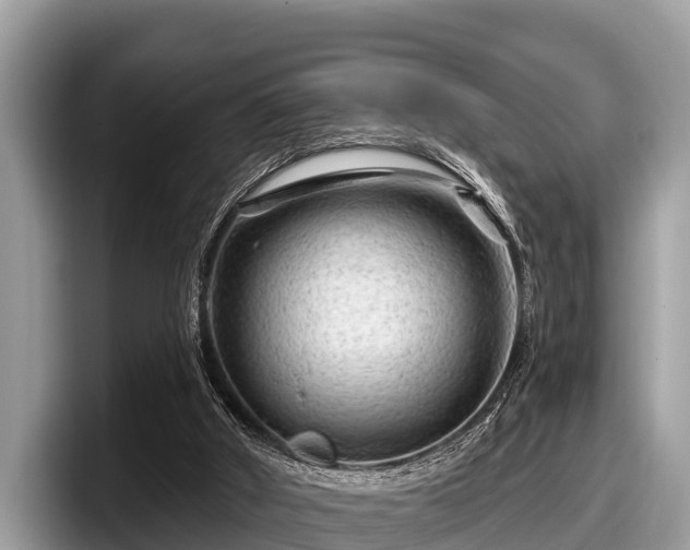 X0000097870010200803211323